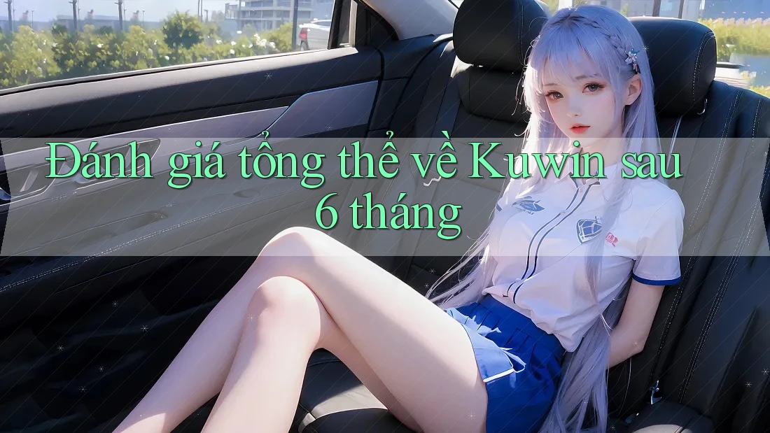 Đánh giá tổng thể về Kuwin sau 6 tháng Đánh giá tổng thể về Kuwin sau 6 tháng