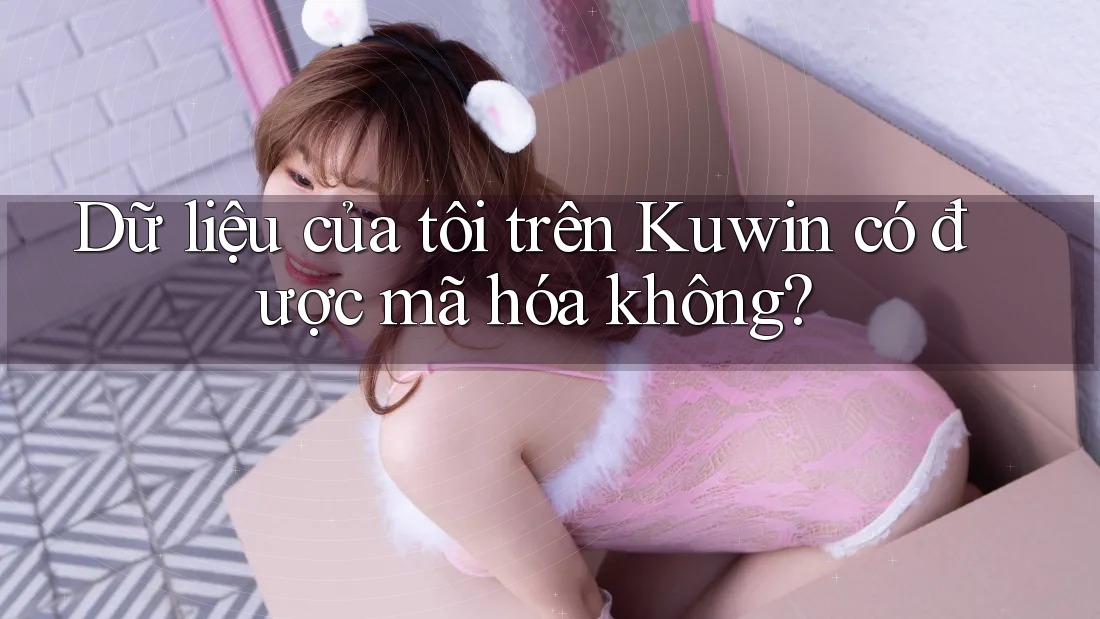 Dữ liệu của tôi trên Kuwin có được mã hóa không? Dữ liệu của tôi trên Kuwin có được mã hóa không?