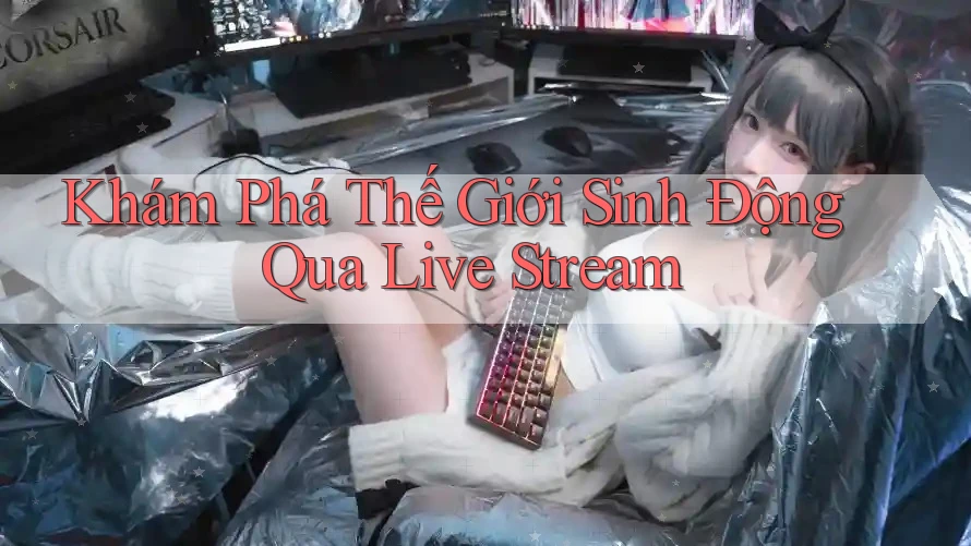 Khám Phá Thế Giới Sinh Động Qua Live Stream Khám Phá Thế Giới Sinh Động Qua Live Stream