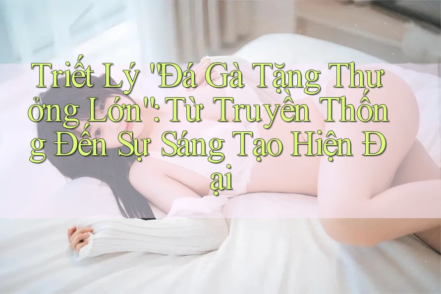 Triết Lý “Đá Gà Tặng Thưởng Lớn”: Từ Truyền Thống Đến Sự Sáng Tạo Hiện Đại